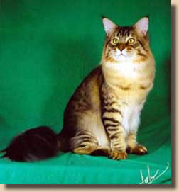 Second Best of Breed